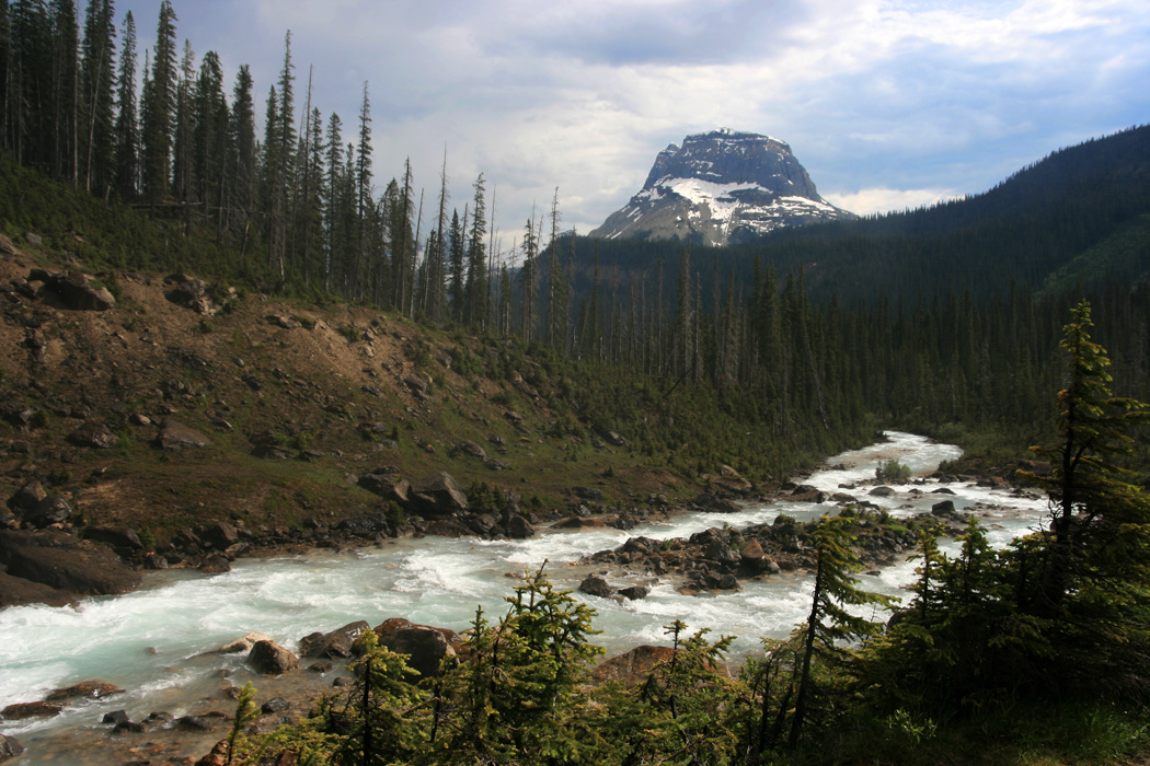 Im Yoho National Park