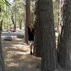 Im Yosemite Nationalpark