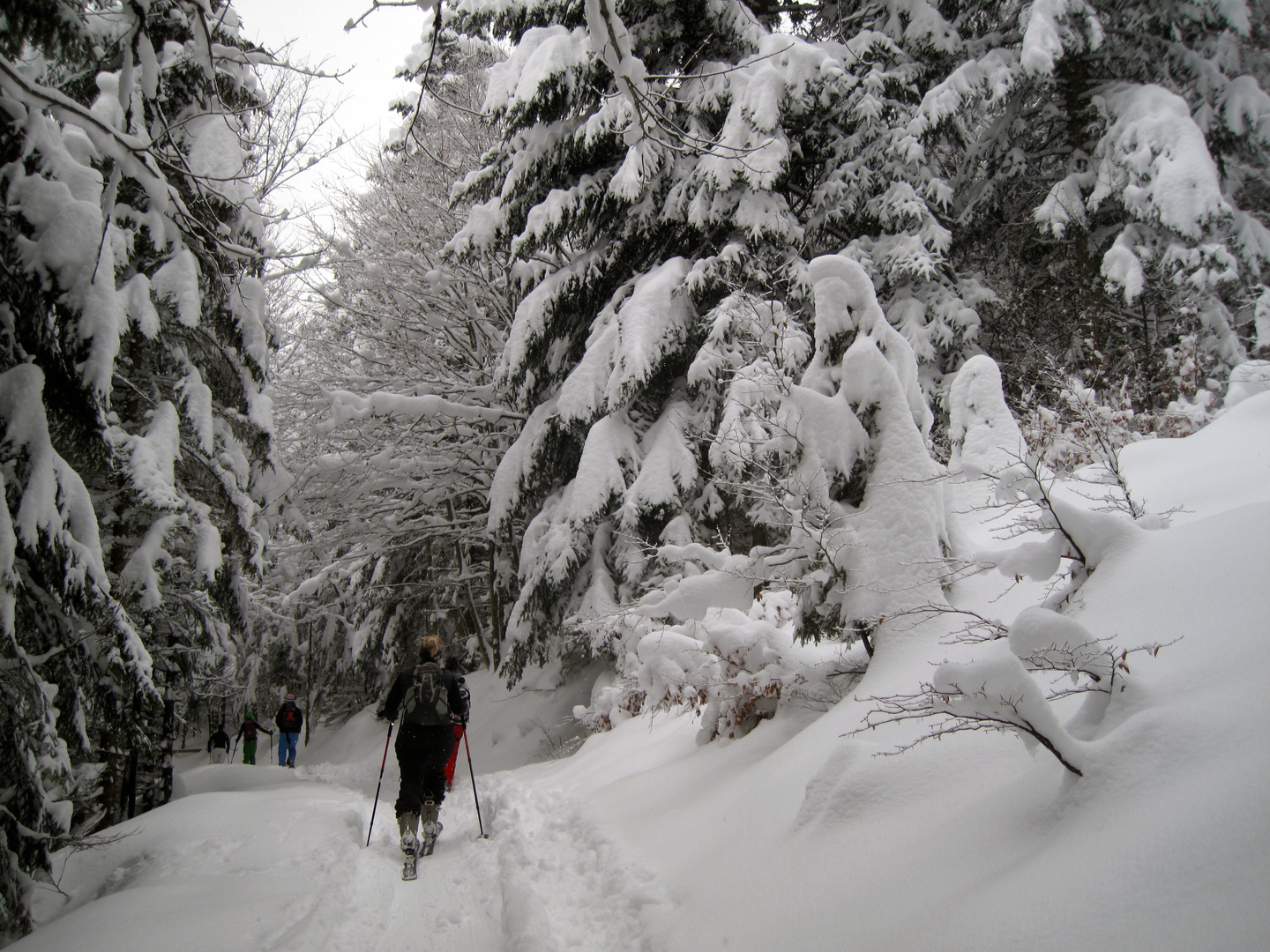 im Zauber des Bergwinters