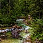 Im Zauberwald beim Hintersee