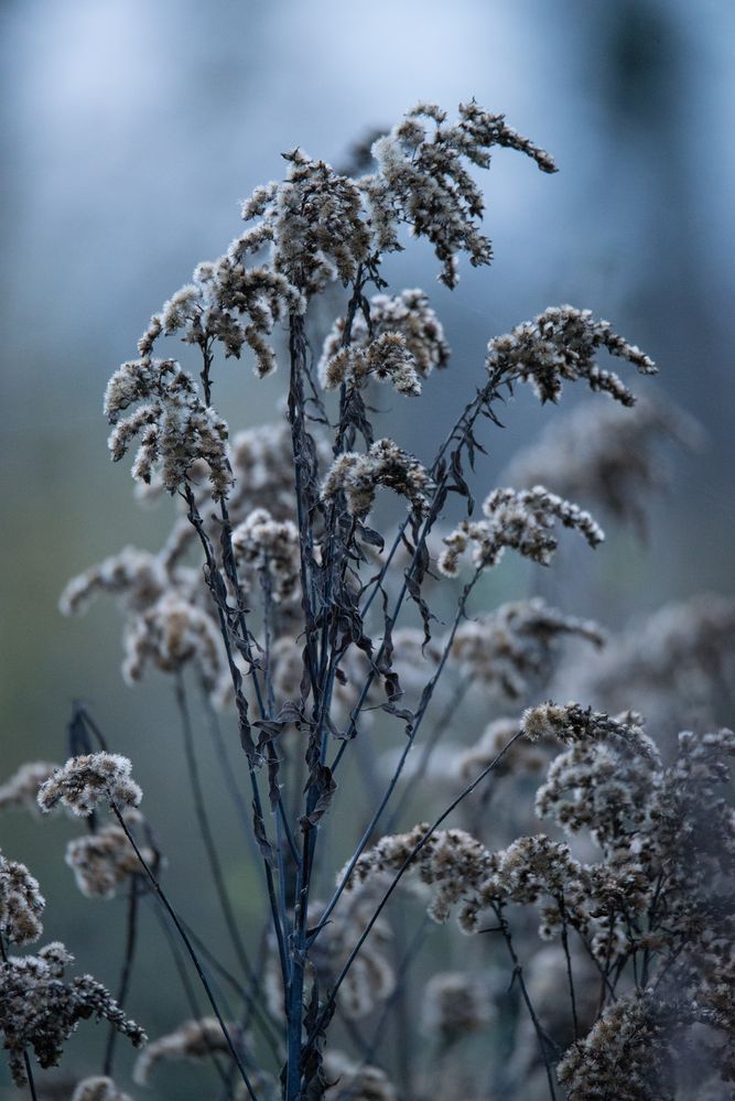 Im Zeichen des nahenden Winters