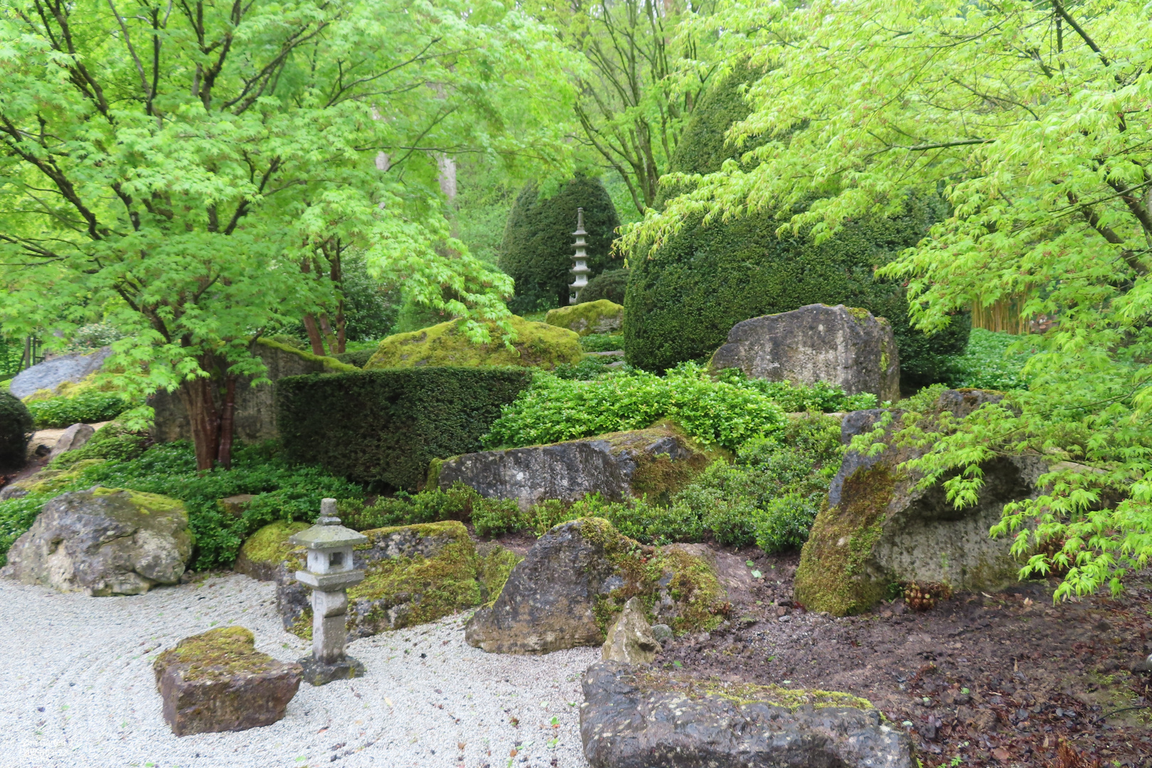 Im Zen-Garten