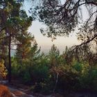 Im zentralen Hochland Jordaniens