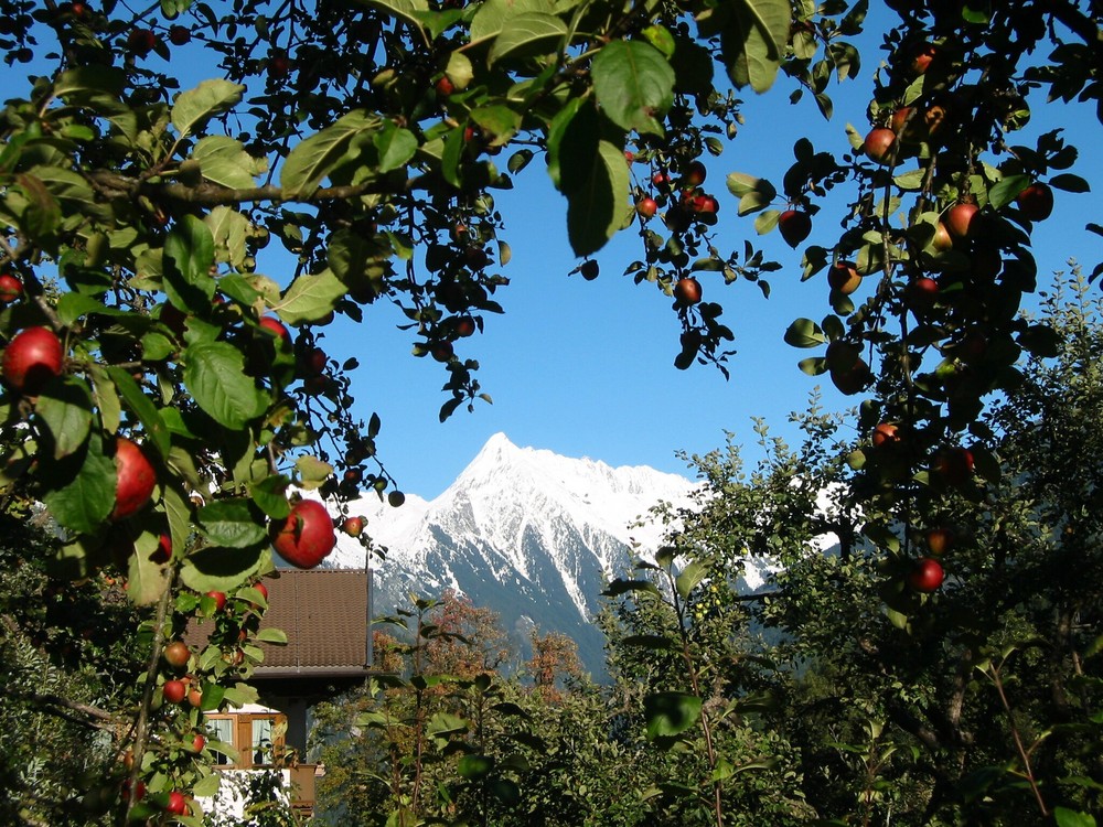 Im Zillertal Herbst, auf dem Kolm bereits Winter...