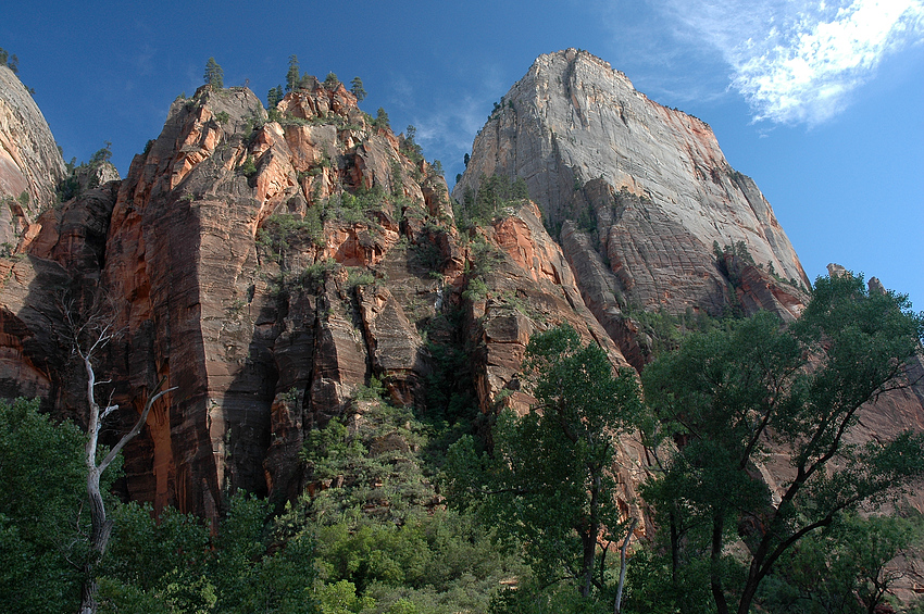 Im Zion Canyon 4