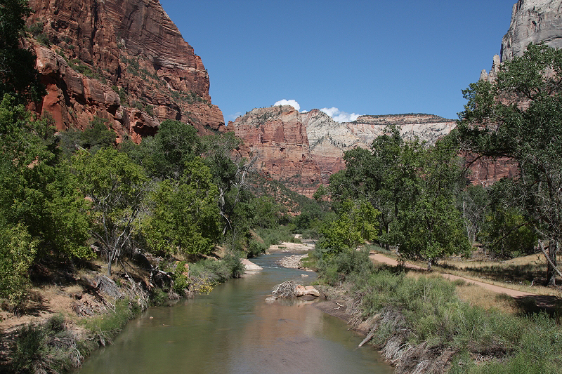 Im Zion National Park