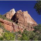 im Zion NP