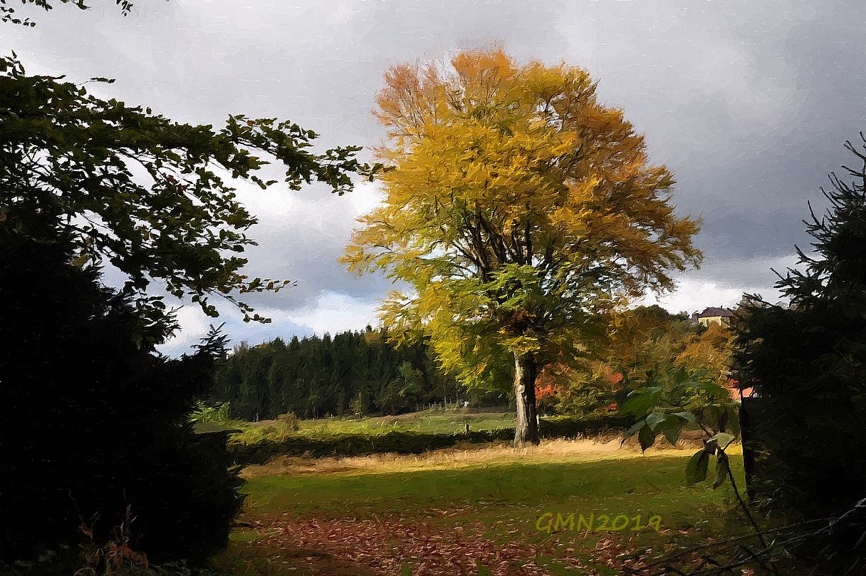 Im Zittauer Gebirge