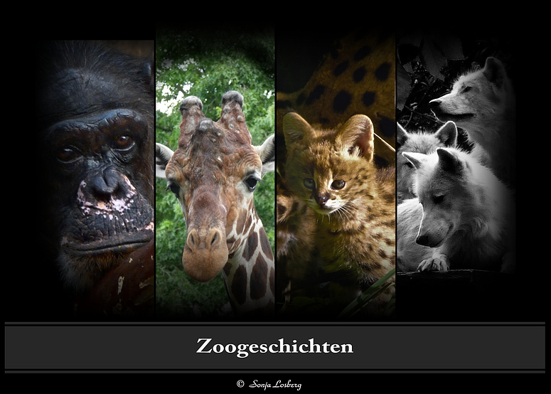 Im Zoo