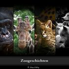 Im Zoo