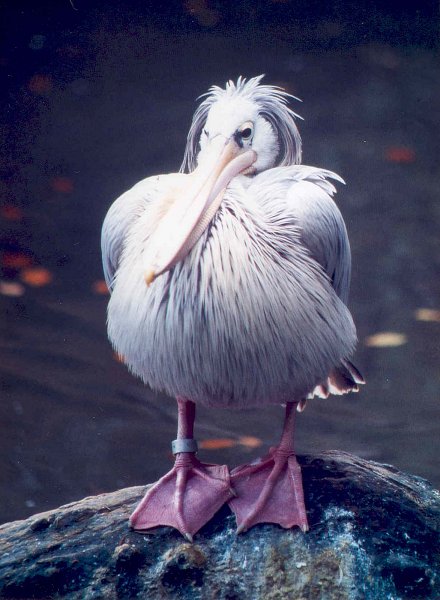 Im Zoo Augsburg