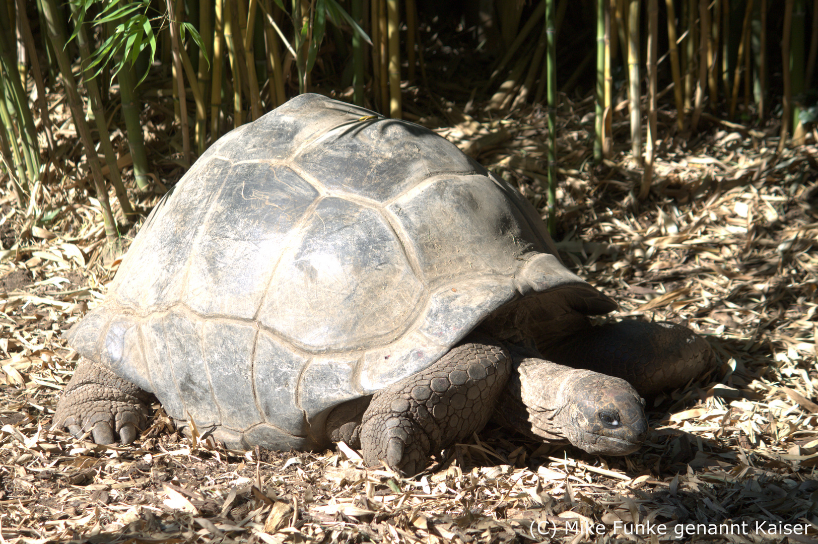 Im ZOO Duisburg 01