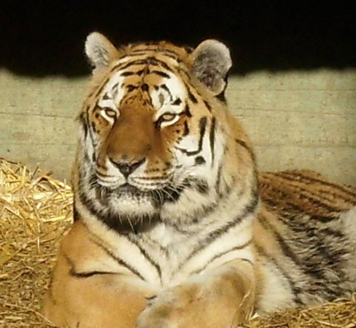 Im Zoo Hellabrunn bei München