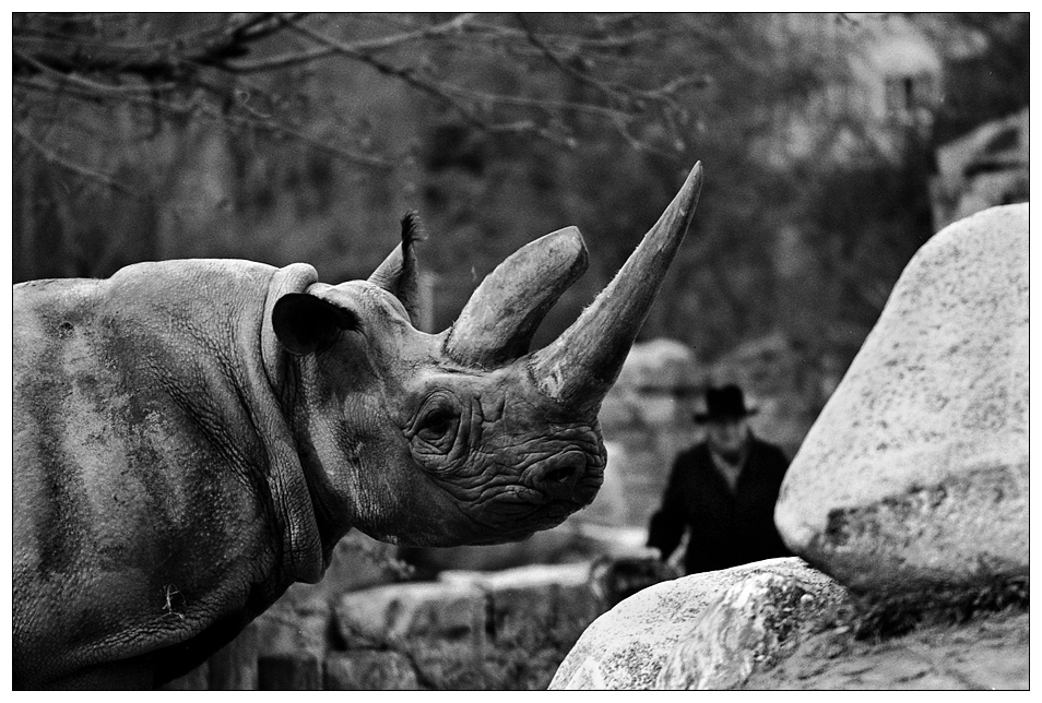 ... im zoo ist es auch schön (4) ...