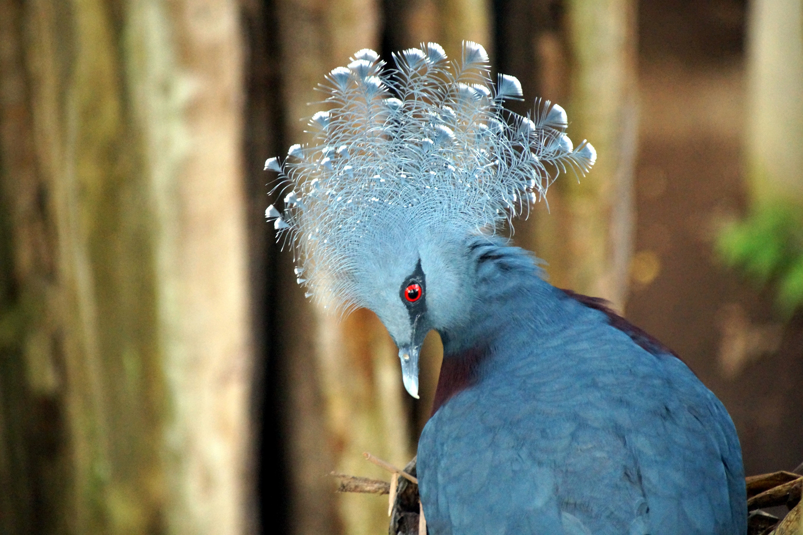 im Zoo Leipzig 5 