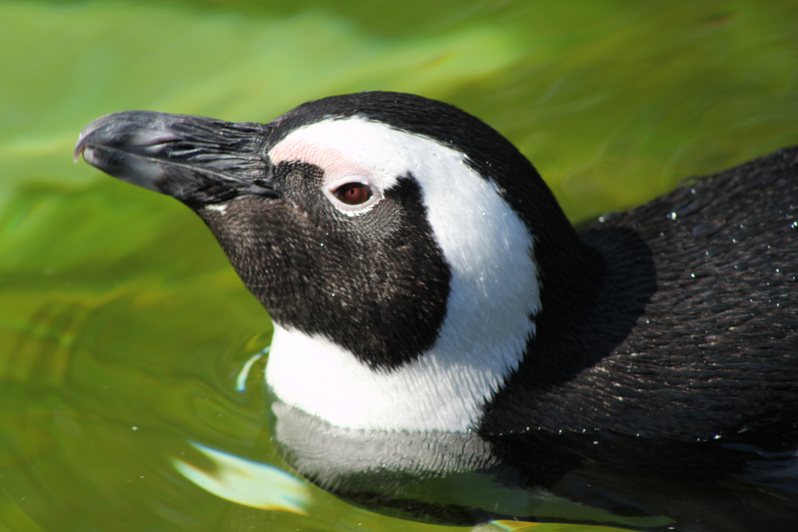 im zoo leipzig