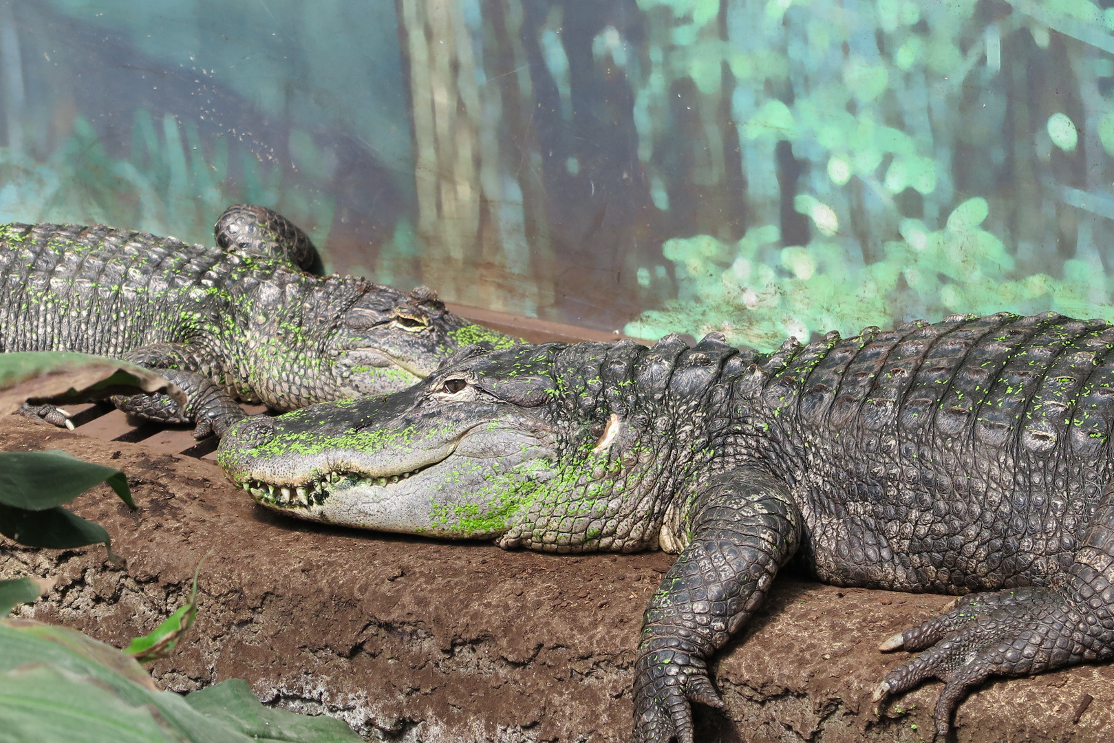 Im Zoo Leipzig