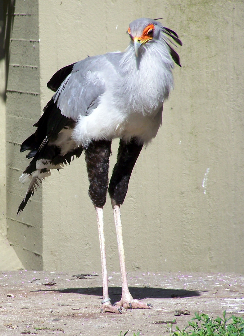 Im Zoo Münster