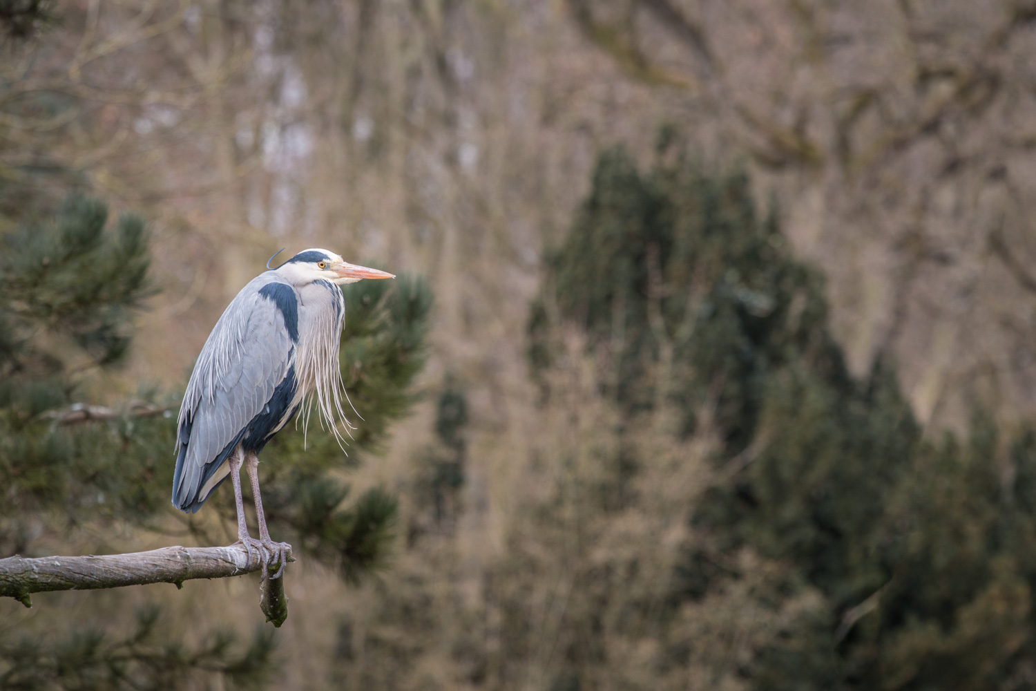 Im Zoo Osnabrück