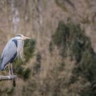 Im Zoo Osnabrück