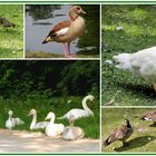 Im Zoopark Düsseldorf