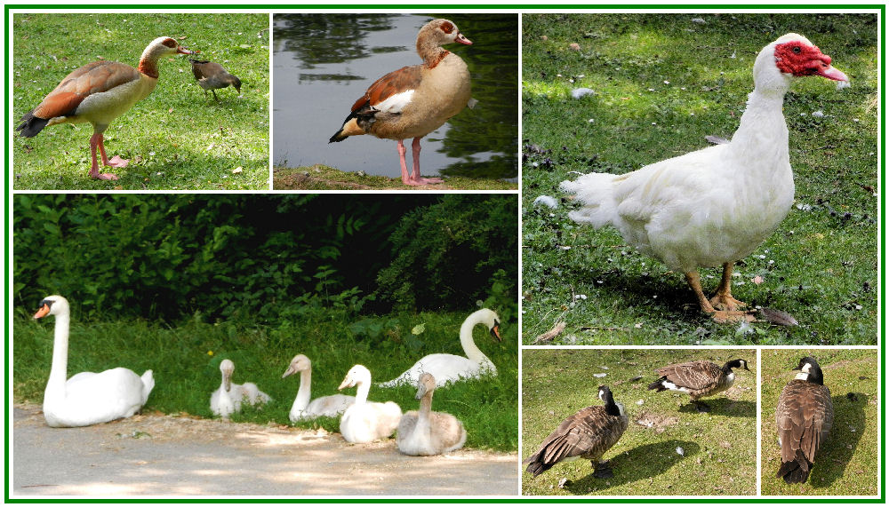 Im Zoopark Düsseldorf