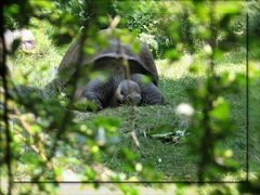 Im Zürcher Zoo