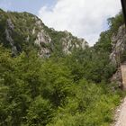 Im Zug nach Montenegro
