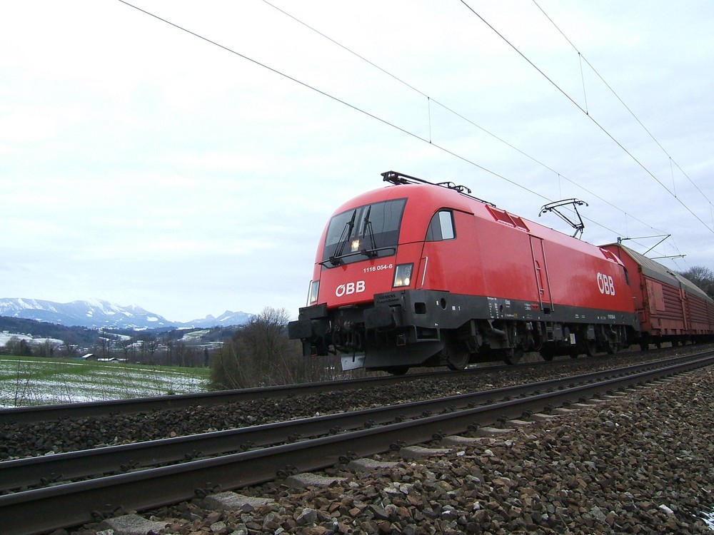 Im Zug vor mir fährt eine lahme Ente