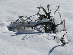 Im zugeschneiten Isarflussbett