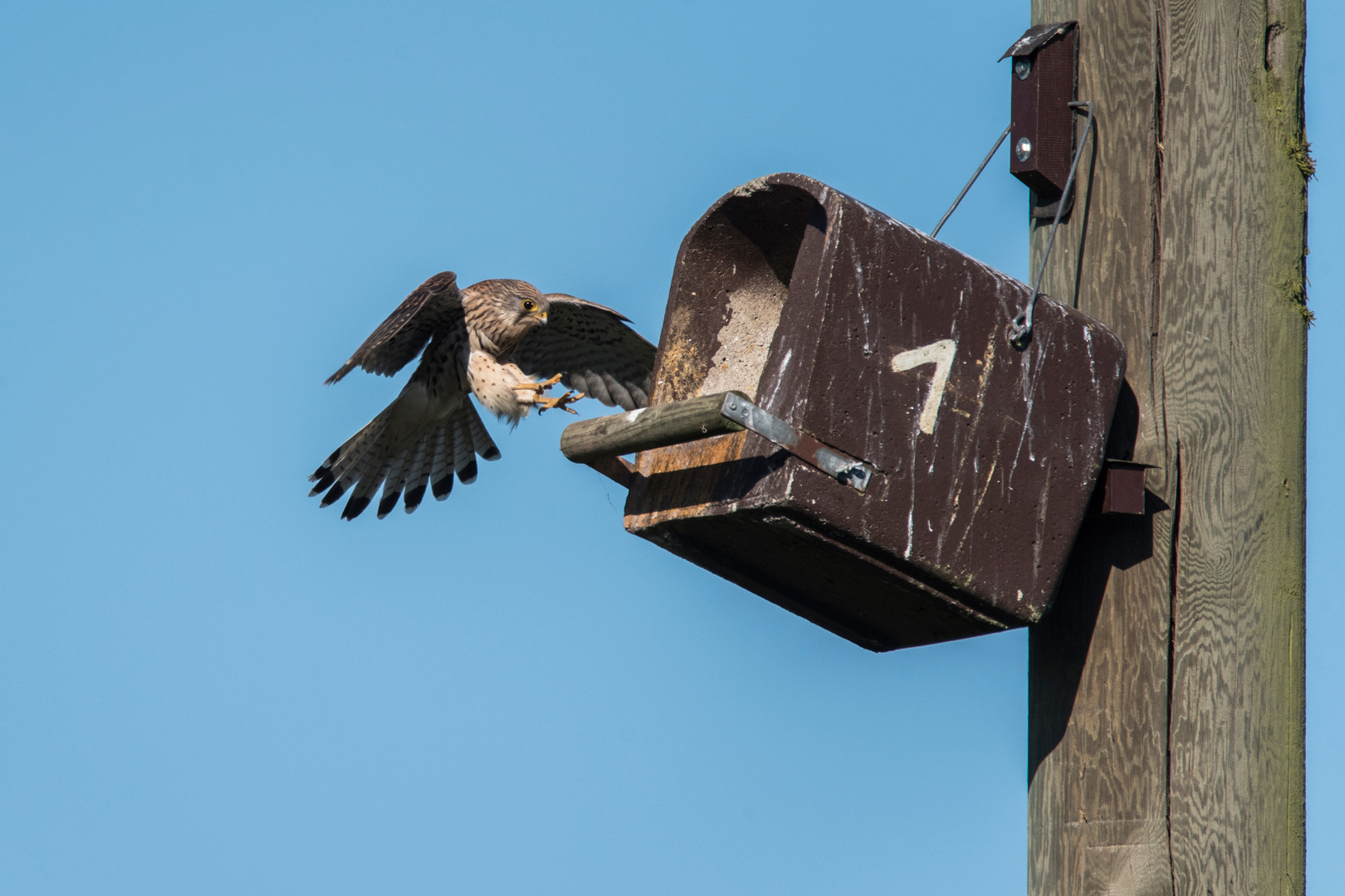 Im zweiten Anflug