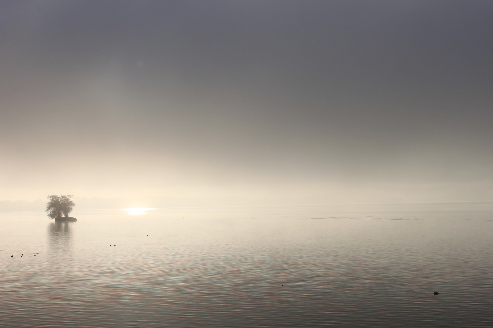 Im Zwischenland von Nebel und Licht - Lindau Bodensee