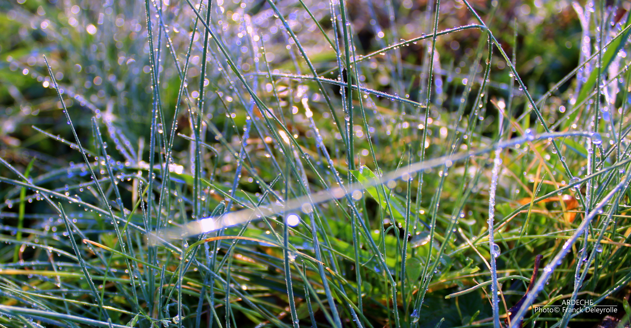 Image d'Ardèche