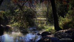 Image de Provence (au pied de la Ste Victoire)