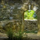 Image des Alpilles