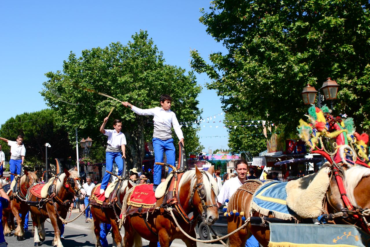 image les fouets , sur les chevaux 