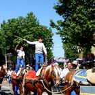 image les fouets , sur les chevaux 