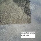 Image of Wall in rain water