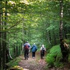 IMAGENES DE SENDERISMO Caso, Asturias