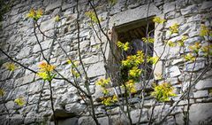 Images d'Ardèche