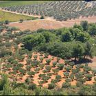 ...images de provence...