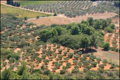 ...images de provence...