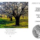 IMAGES PARALLELES Cerisiers en fleurs à Mallemort (cliché)