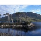 I...Magical Loch Assynt...I