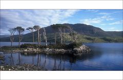 I...Magical Loch Assynt...I