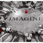 Imagine