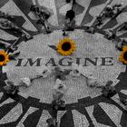 Imagine