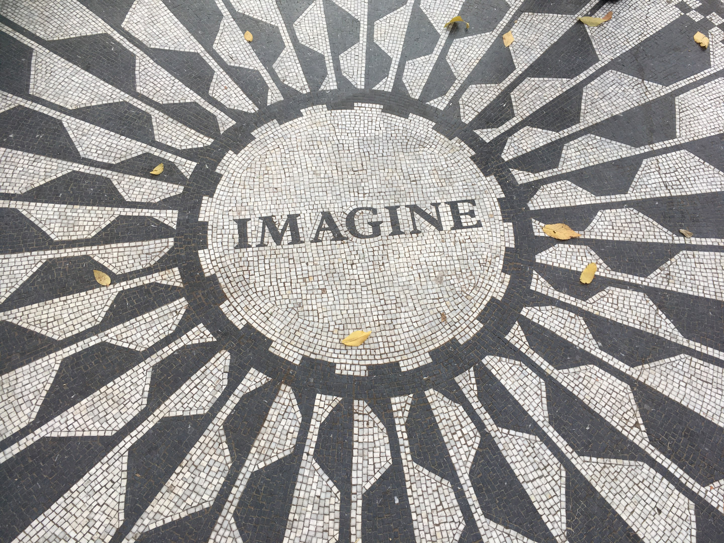 #imagine