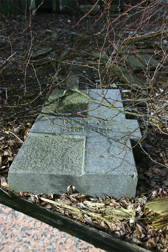 Imberg IV - Illegaler Friedhof?