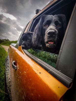 IMG-20170812-WA0002b